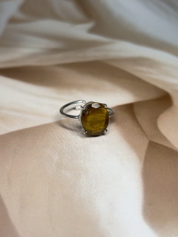 IMG_1373 Faceted Oval Tiger Eye Ring | Adjustable | German Silver