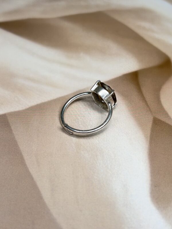 IMG_1374 Faceted Oval Tiger Eye Ring | Adjustable | German Silver