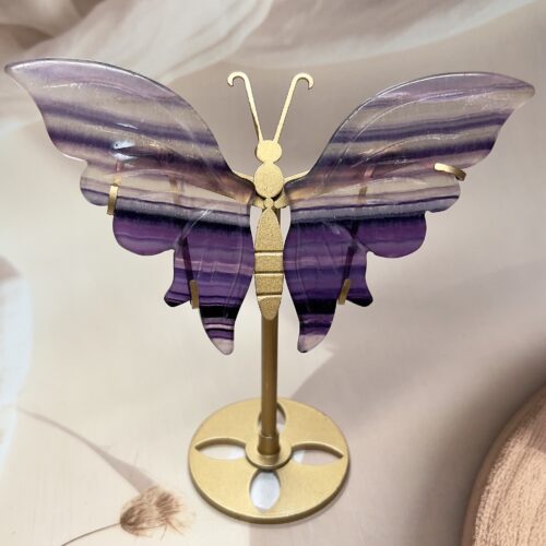 Rainbow Fluorite Butterfly Statement Piece