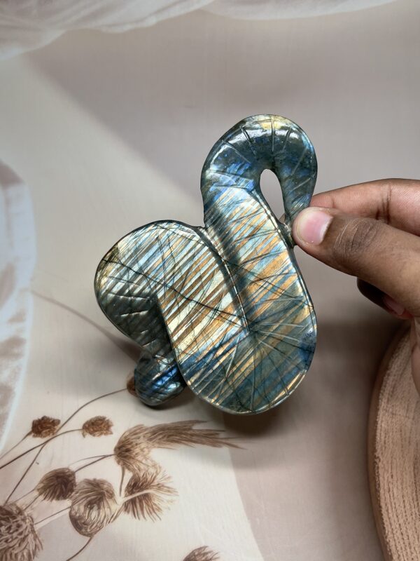 Blue-Golden Flash Labradorite Snake | 263 GM | Collector's Piece