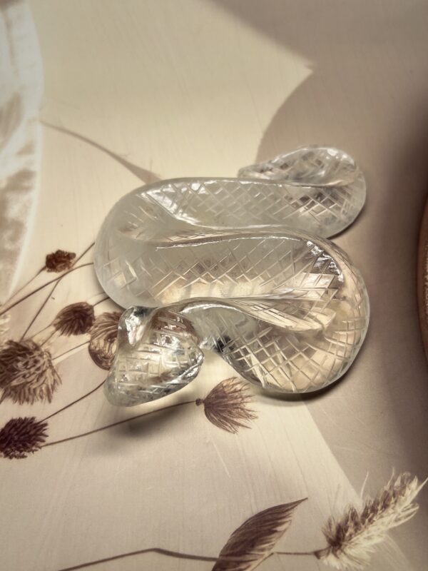 IMG_1454 Clear Quartz Snake | 360 GM | Collector's Piece