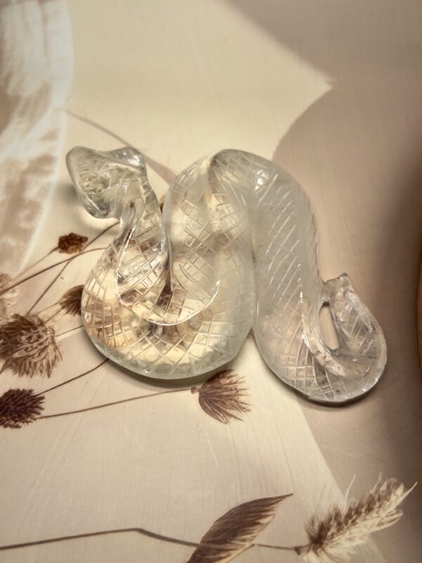 IMG_1455 Clear Quartz Snake | 360 GM | Collector's Piece