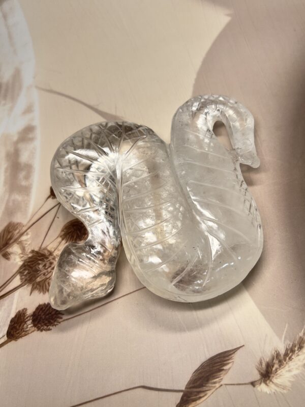 IMG_1456 Clear Quartz Snake | 360 GM | Collector's Piece