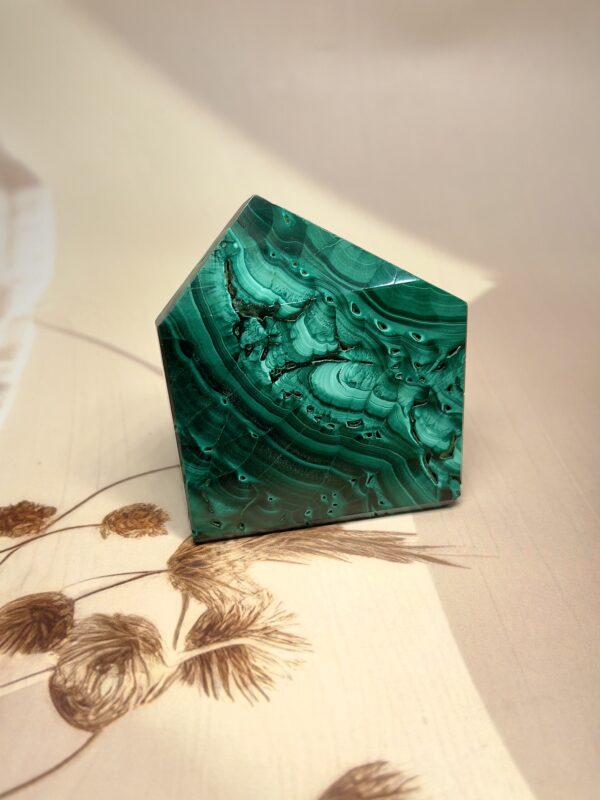 Premium Malachite Freeform | 283 GM | Collector's Piece