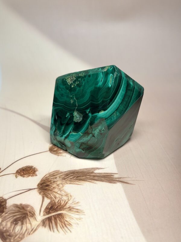 Premium Malachite Freeform | 283 GM | Collector's Piece