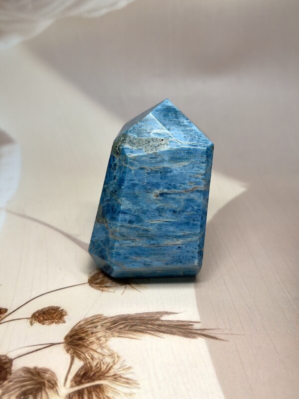 Rich Blue Apatite Freeform | 300 GM