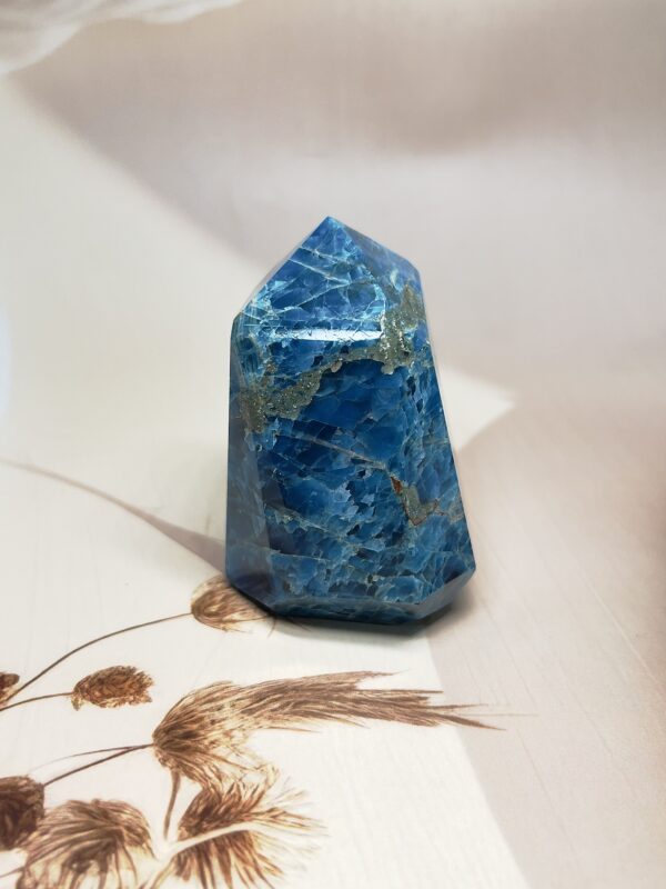 Rich Blue Apatite Freeform | 300 GM