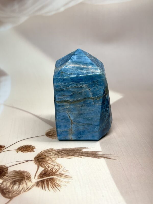Rich Blue Apatite Freeform | 300 GM