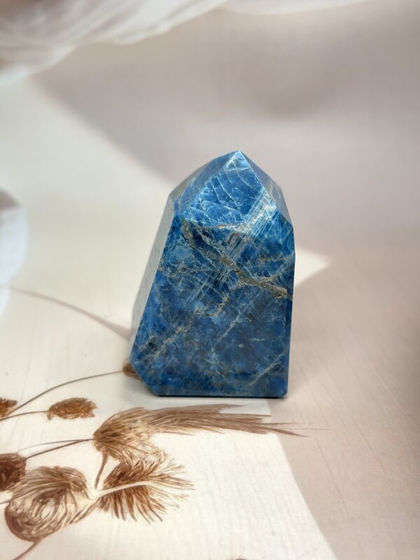 Rich Blue Apatite Freeform | 300 GM
