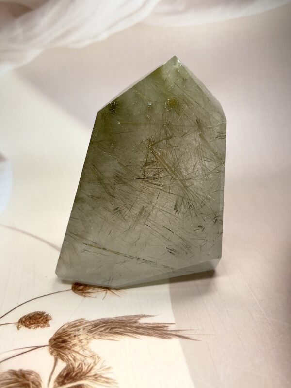 IMG_1471 Golden Rutile Quartz Freeform | Richly Included | 443 GM | Premium Collectible