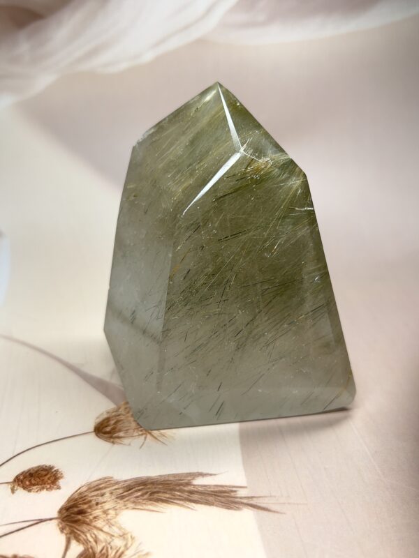 IMG_1473 Golden Rutile Quartz Freeform | Richly Included | 443 GM | Premium Collectible