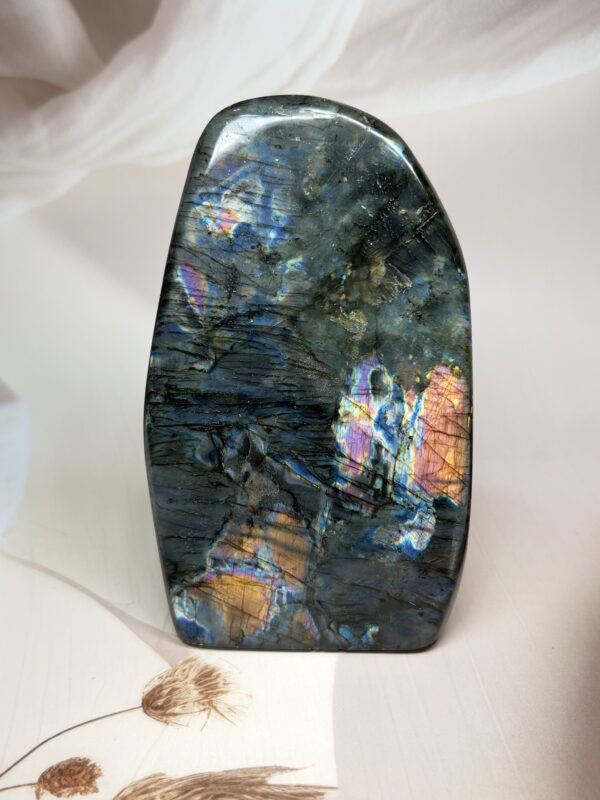 Premium Labradorite Freeform | Multi-Flash | 587 GM