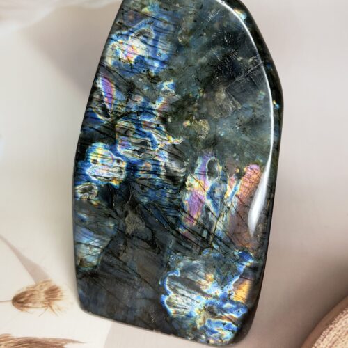 Premium Labradorite Freeform | Multi-Flash | 587 GM