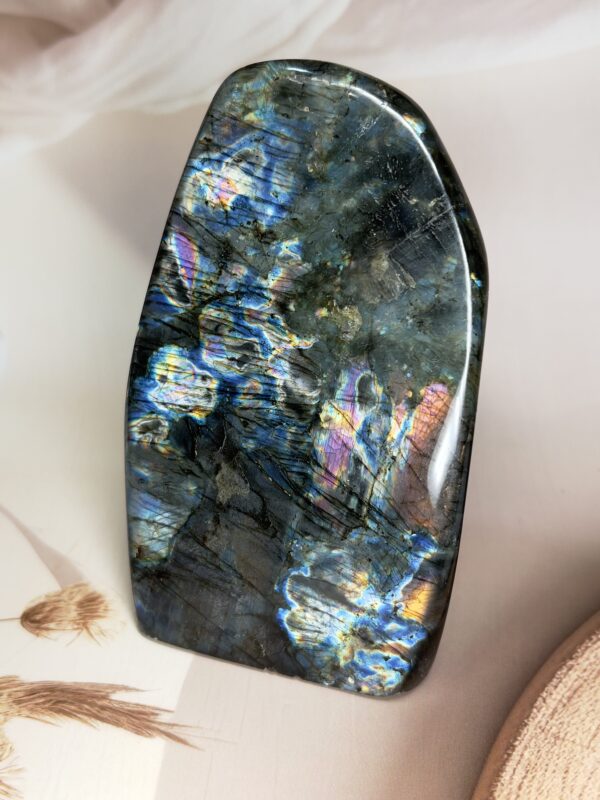 Premium Labradorite Freeform | Multi-Flash | 587 GM