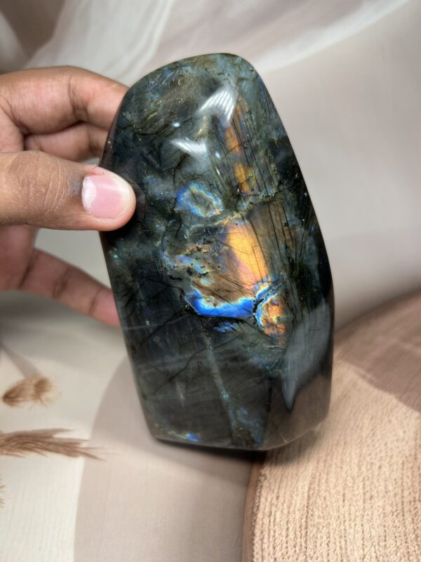 Premium Labradorite Freeform | Multi-Flash | 587 GM