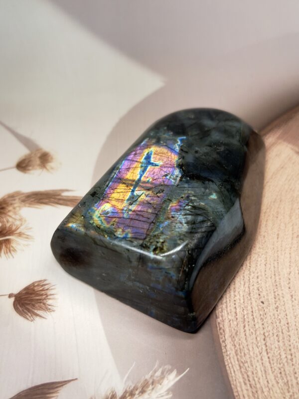 Premium Labradorite Freeform | Multi-Flash | 587 GM