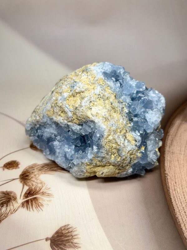 IMG_1503 Premium Celestine Cluster | 977 GM | Statement Piece