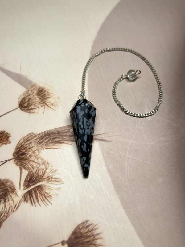 IMG_1518 Snowflake Obsidian Pendulum
