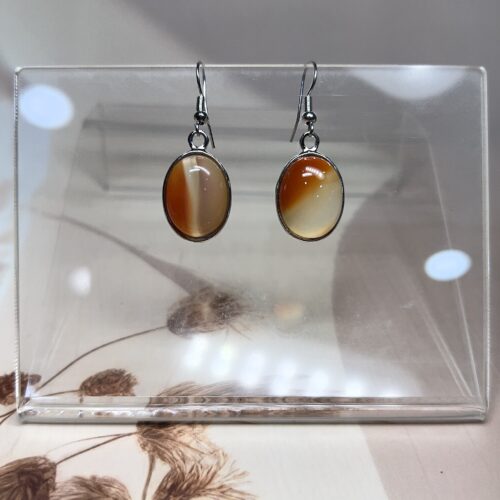Carnelian Oval Earrings (Pair) | German Silver