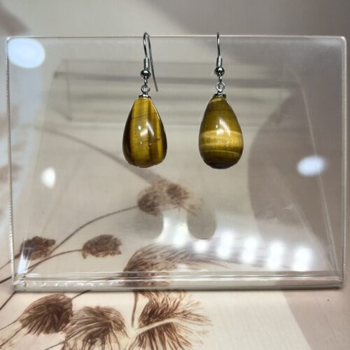 IMG_1551 Tiger Eye Teardrop Earrings (Pair) | German Silver
