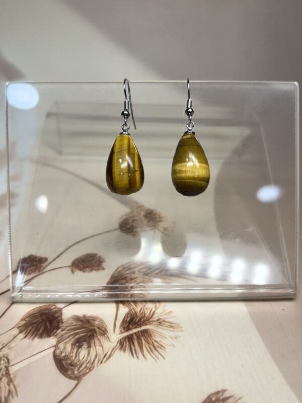 Tiger Eye Teardrop Earrings (Pair) | German Silver