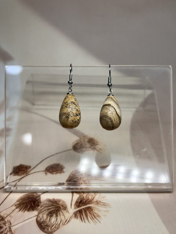 IMG_1556 Picture Jasper Teardrop Earrings (Pair) | German Silver