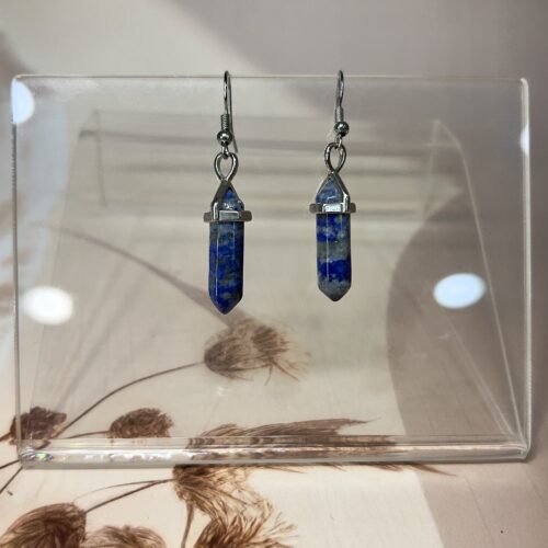 IMG_1575 Lapis Lazuli Point Earrings (Pair) | German Silver