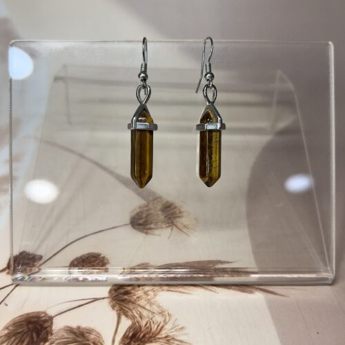 Tiger Eye Crystal Point Earrings (Pair) | German Silver