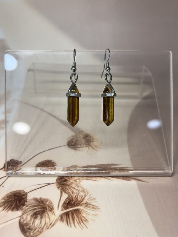 Tiger Eye Crystal Point Earrings (Pair) | German Silver