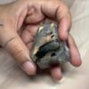 Green-Flash Labradorite Freeform | 85 GM