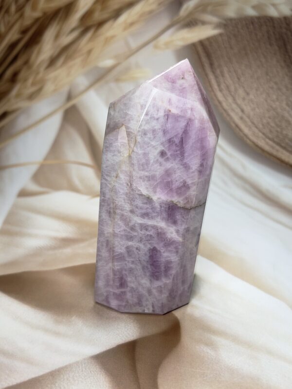 Premium Kunzite Freeform | 468 GM