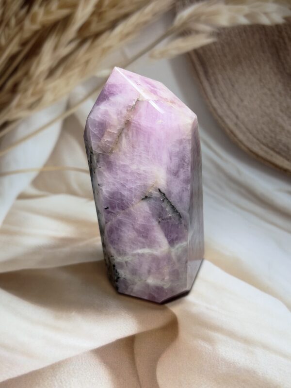 Premium Kunzite Freeform | 468 GM