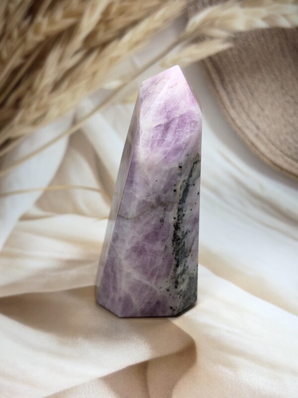 Premium Kunzite Freeform | 468 GM