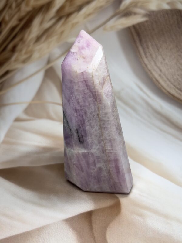 Premium Kunzite Freeform | 468 GM