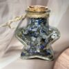 IMG_2136 Manifestation Intention Bottle | Clear Quartz • Lapis Lazuli • Labradorite