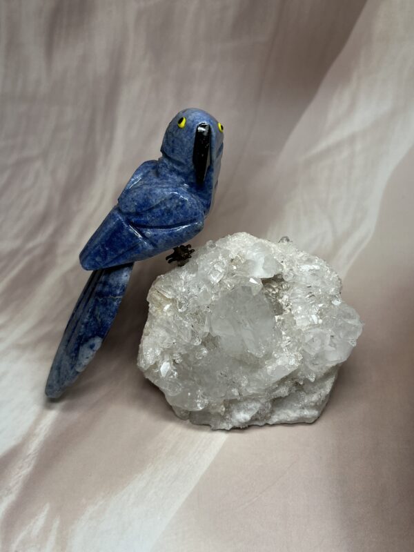 Sodalite Bird + Clear Quartz Cluster Statement Piece | 422 GM | Premium
