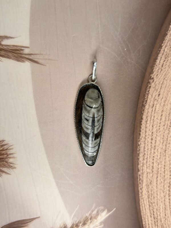 Kuber Stone Pendant | Orthoceras Fossil | German Silver