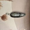 Kuber Stone Pendant | Orthoceras Fossil | German Silver