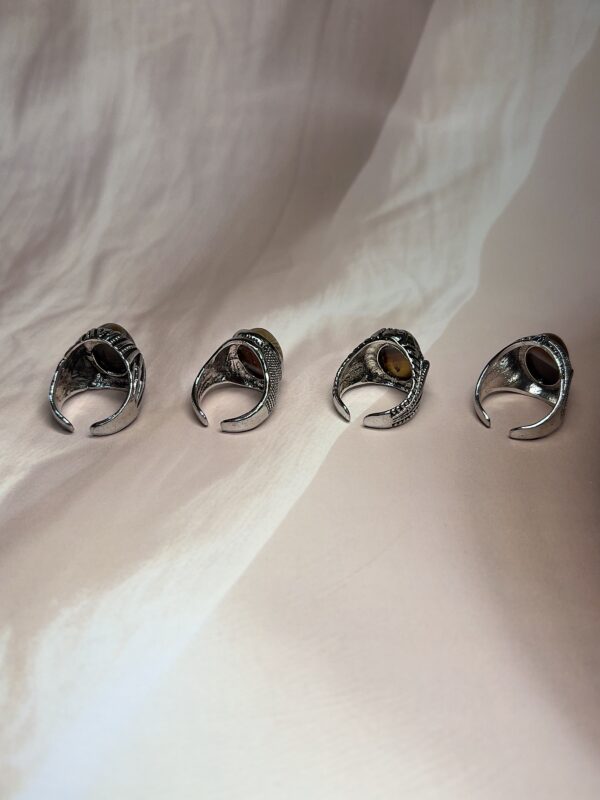 Earthbound Black Agate/ Sulemani Hakik Rings | 4 Styles | German Silver