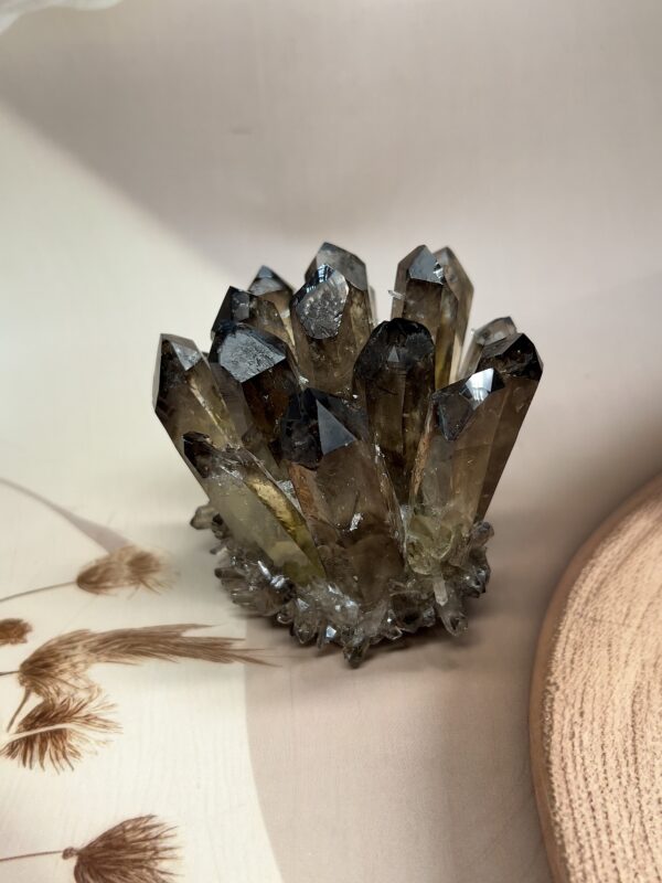 Premium Smoky Quartz Family Cluster | 463 GM