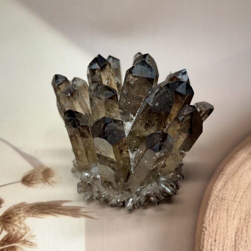 IMG_1945 Premium Smoky Quartz Family Cluster | 463 GM