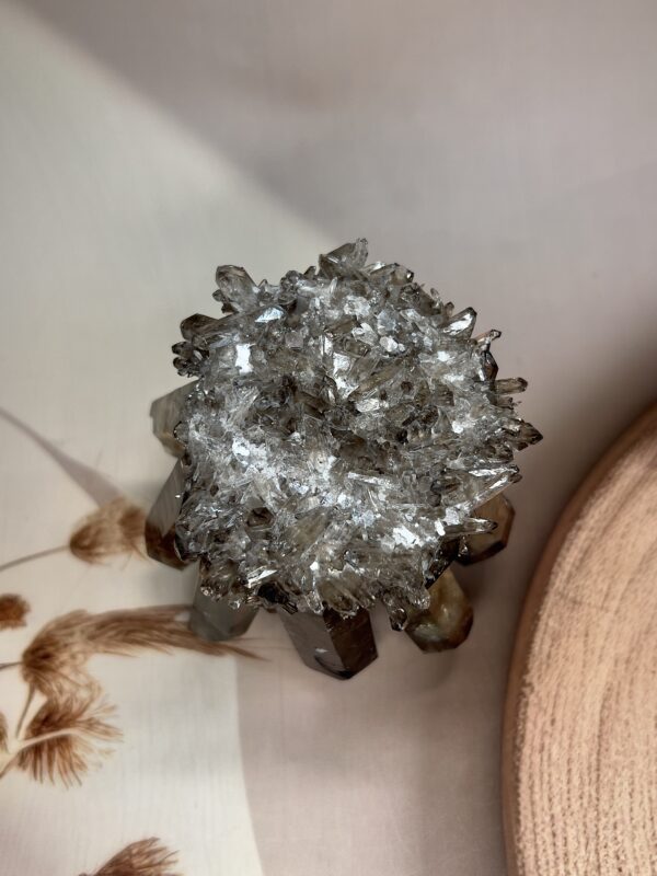 Premium Smoky Quartz Family Cluster | 463 GM