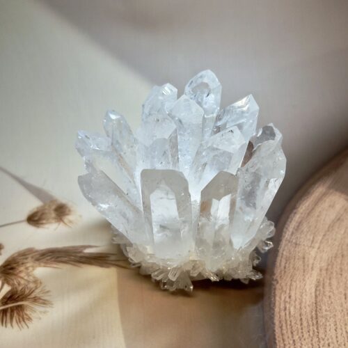Premium Clear Quartz Family Cluster | 376 GM