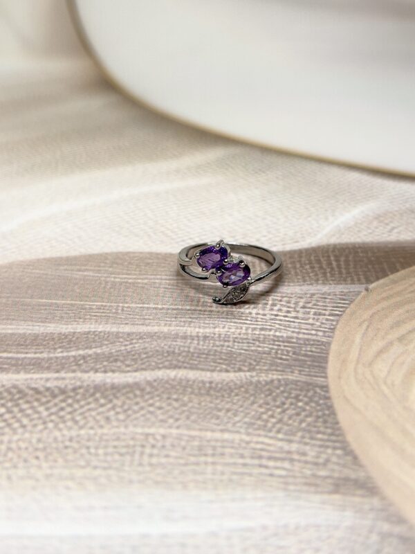 IMG_2475 Enchanted Amethyst Ring | Adjustable | German Silver